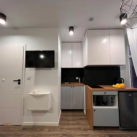Kosciuszki Cozy Centrum Lägenhet