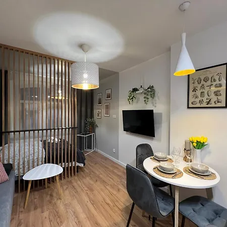 Kosciuszki Cozy Centrum Διαμέρισμα Κατοβίτσε